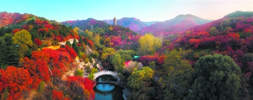 济南园林集团自主规划投资建设经营的红叶谷景区,早已成为人们旅游度假的好去处